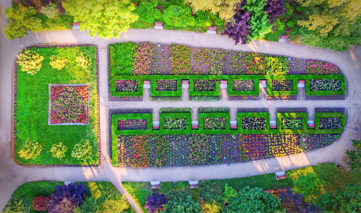 Kolorowy ogród (Wrzesień 2021)