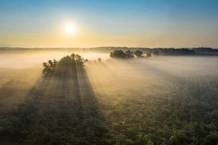 Lasery (Wrzesień 2021)