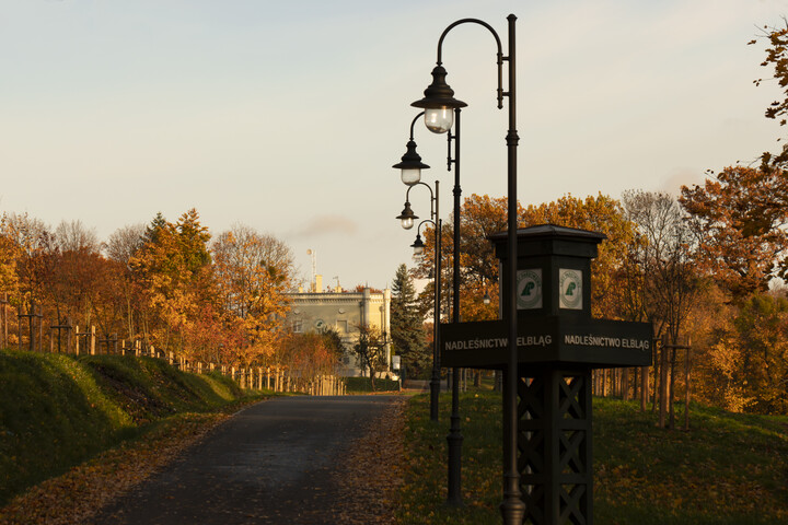 Droga do pałacu (Październik 2021)