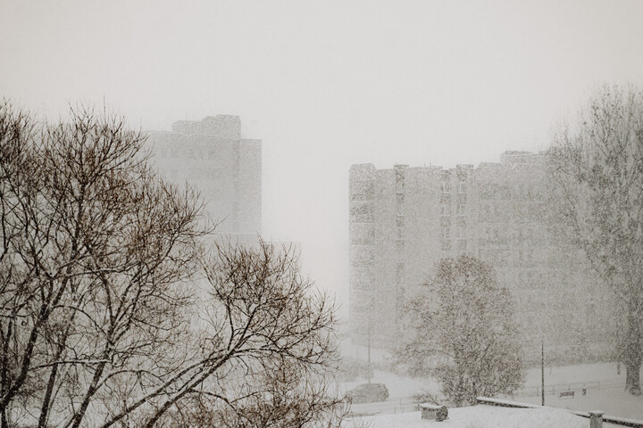 Śnieżyca (Styczeń 2022)