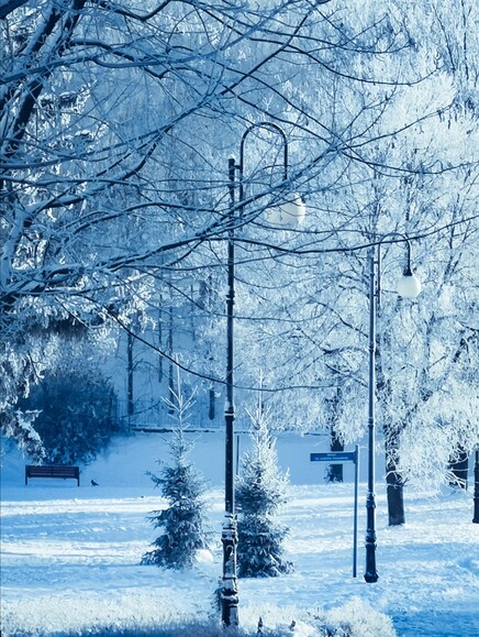 Park Traugutta w zimowej odsłonie