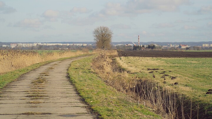 Miasto na zakręcie (Marzec 2022)