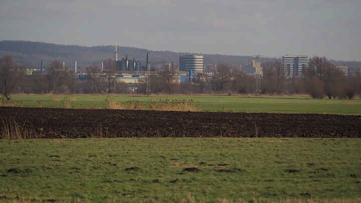 Miasto na Żuławach Wiślanych (Marzec 2022)