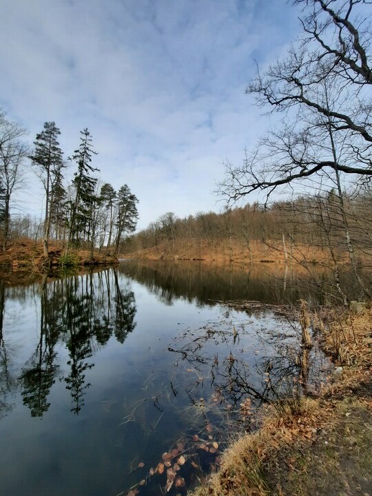 Pachnie wiosną