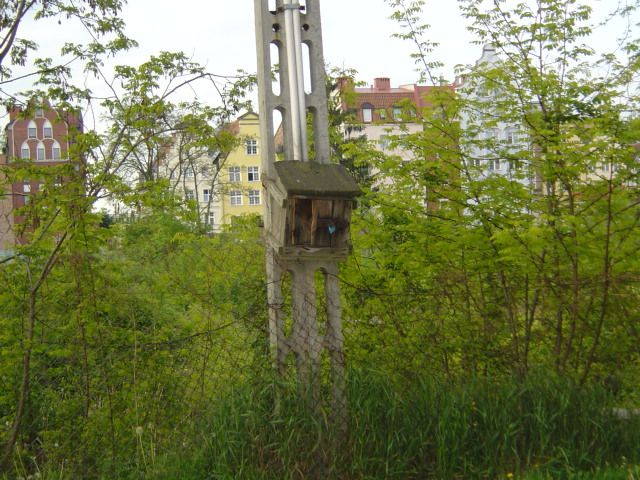 Lokal na Starym Mieście do wynajęcia....
