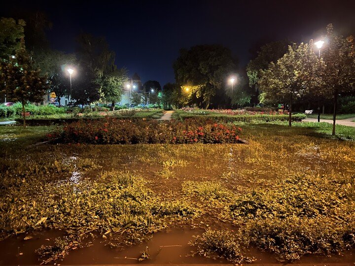 Park różany pod woda