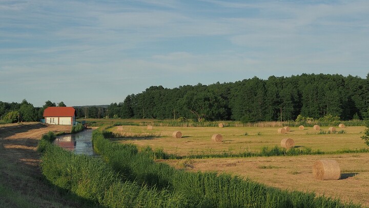 Pejzaż