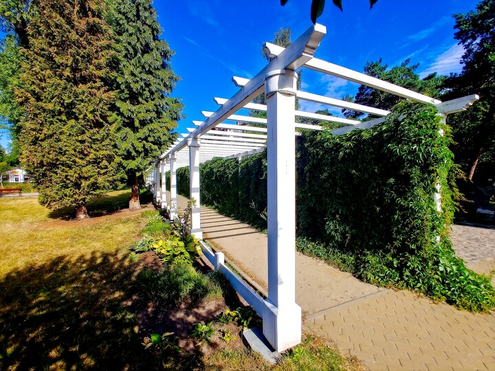 Pergola (Sierpień 2022)