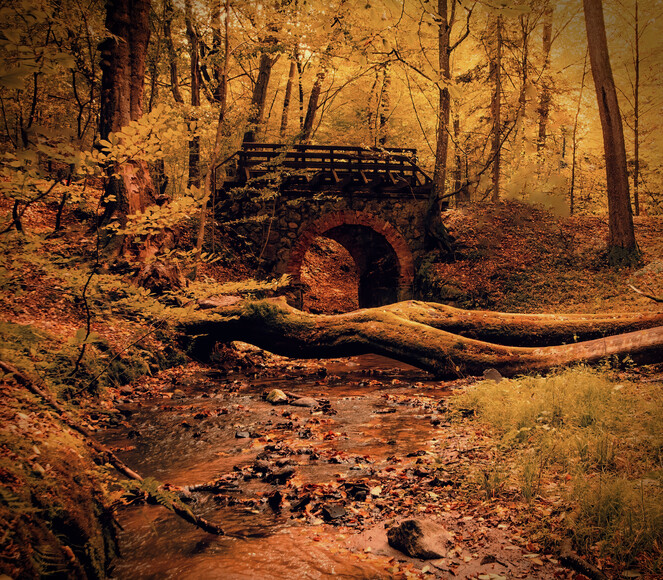 Jesienny mostek