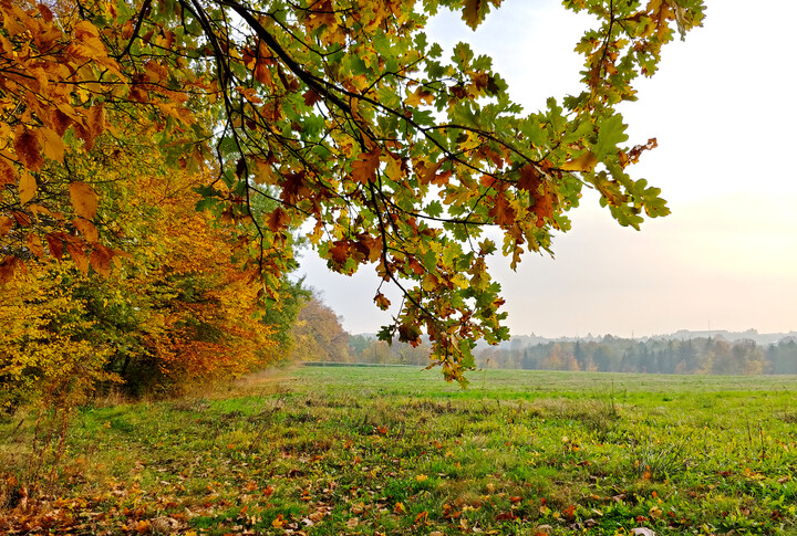 Ciepła jesień (Październik 2022)