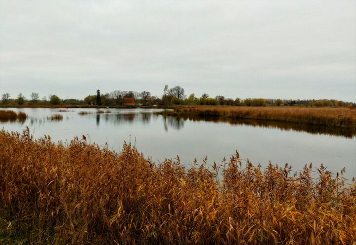 Domek nad rozlewiskiem