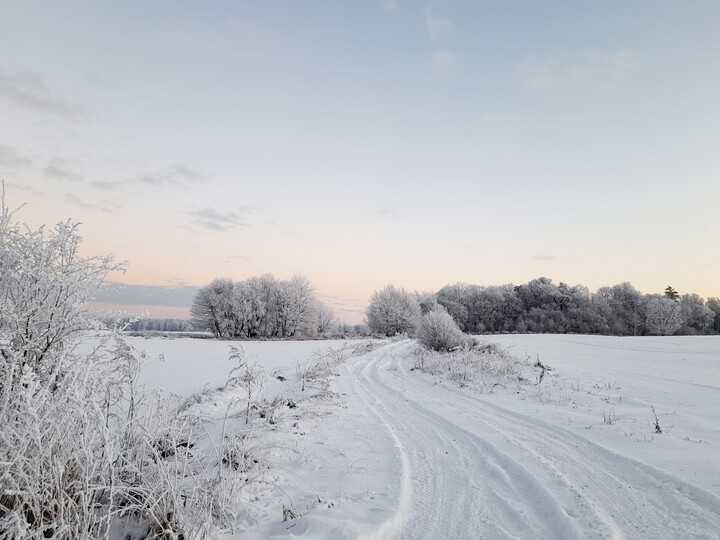 Modrzewina (Grudzień 2022)