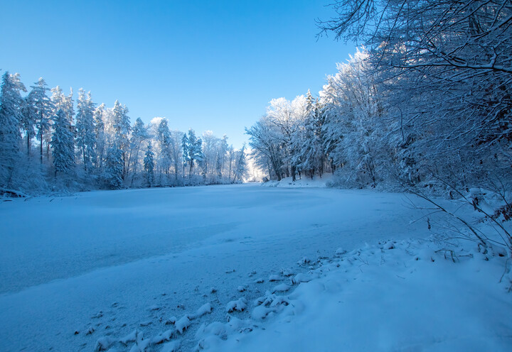 Zimowa Narnia (Styczeń 2023)