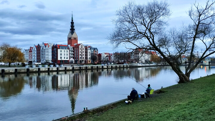 Bezśnieżna zima. (Styczeń 2023)