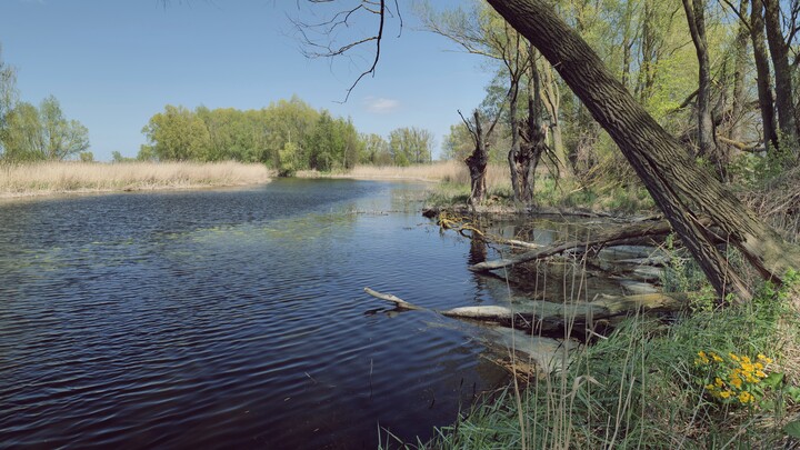 Dzika rzeka (Maj 2023)