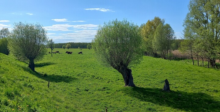 Wiejskie klimaty (Maj 2023)