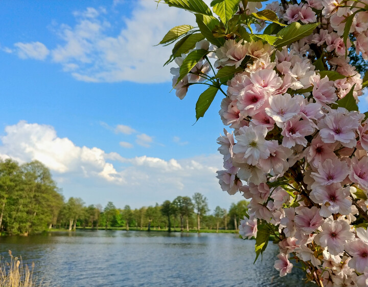 Nad jeziorkiem (Maj 2023)