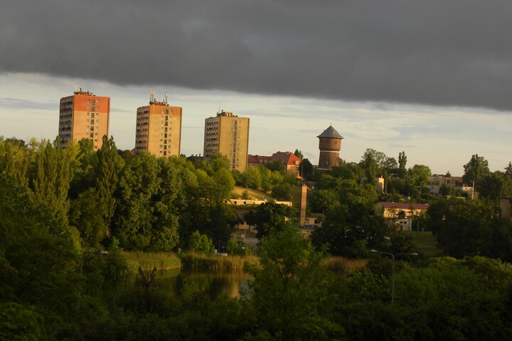 W promieniach zachodzącego słońca (Sierpień 2023)