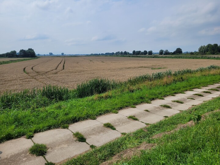 Żuławskie równiny gdzieś między Bielnikiem Pierwszym a Drugim