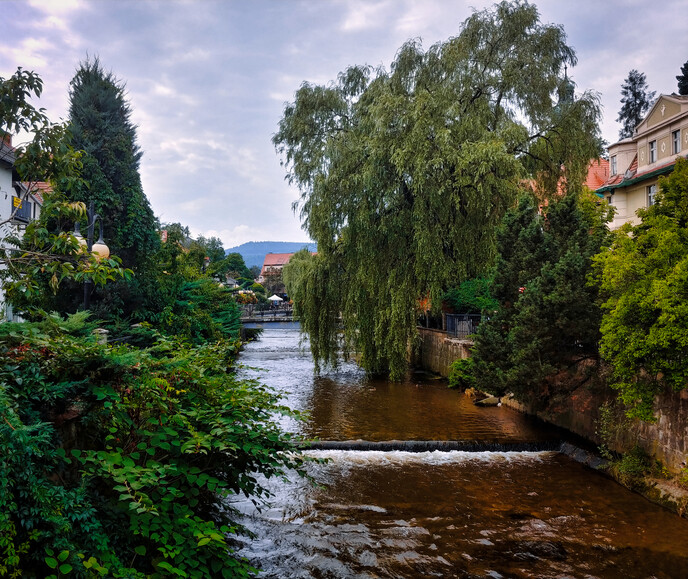 Nad rzeką (Sierpień 2023)