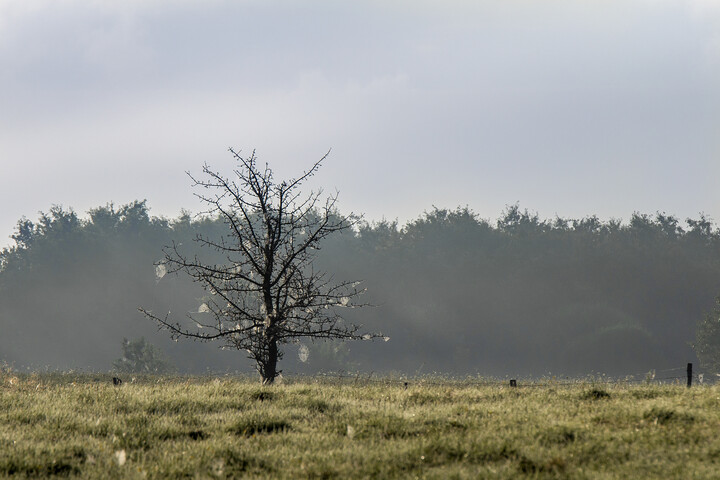 Łapacz snów (Wrzesień 2023)