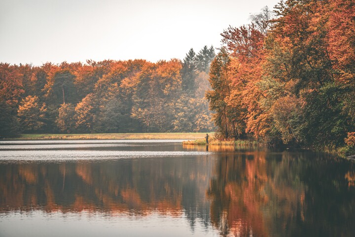 Jelenia Dolina (Październik 2023)