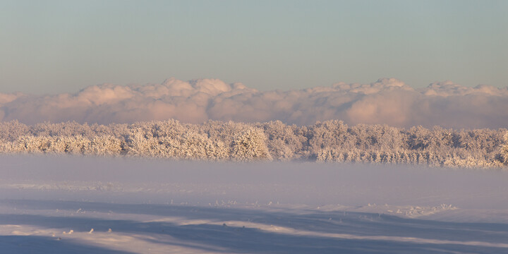 Zimowy krajobraz (Grudzień 2023)