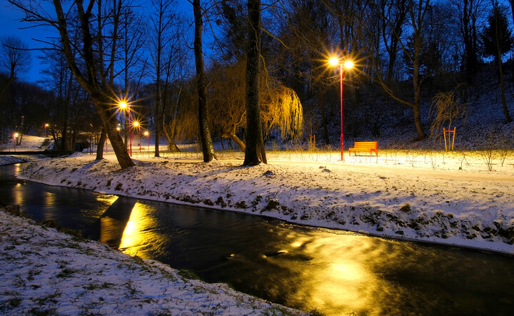 Park Dolinka pełen światła (Styczeń 2024)