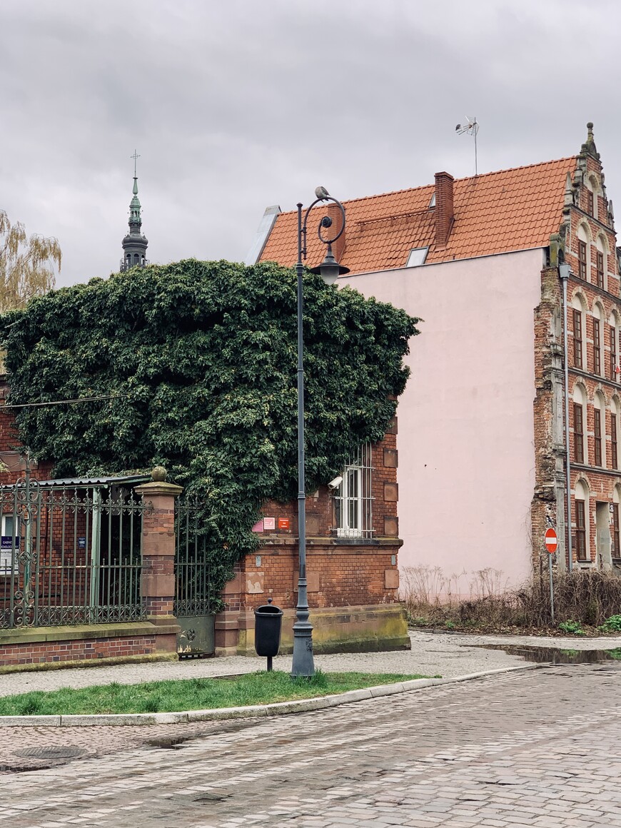 Zielona starówka