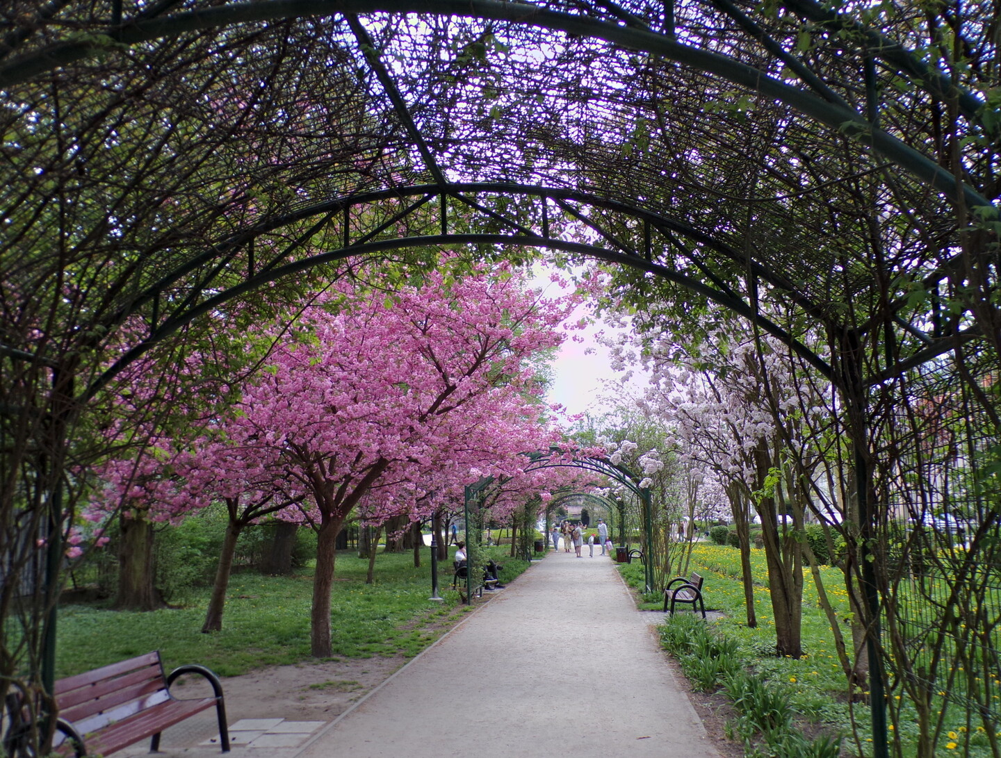 Wiosna. Park Kajki
