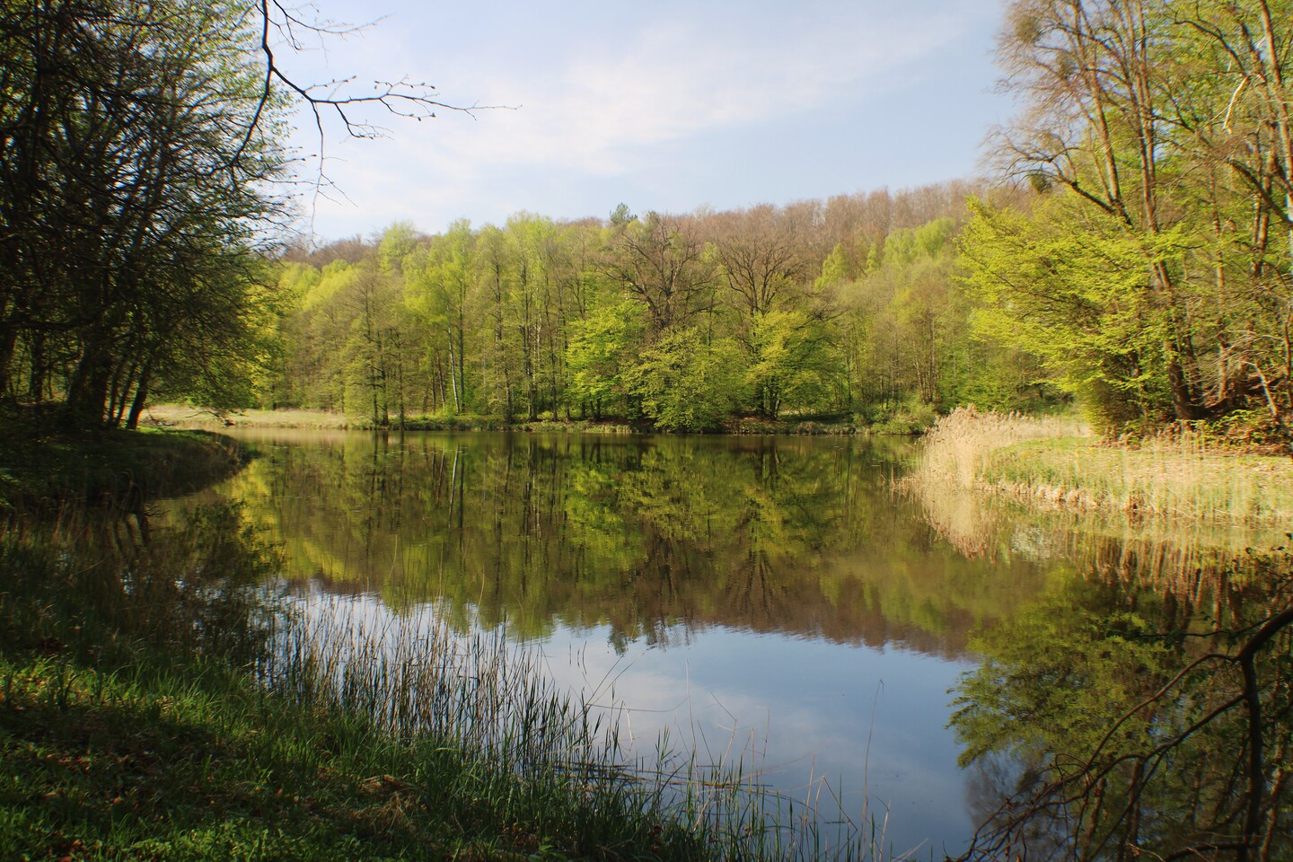 Zacisze.