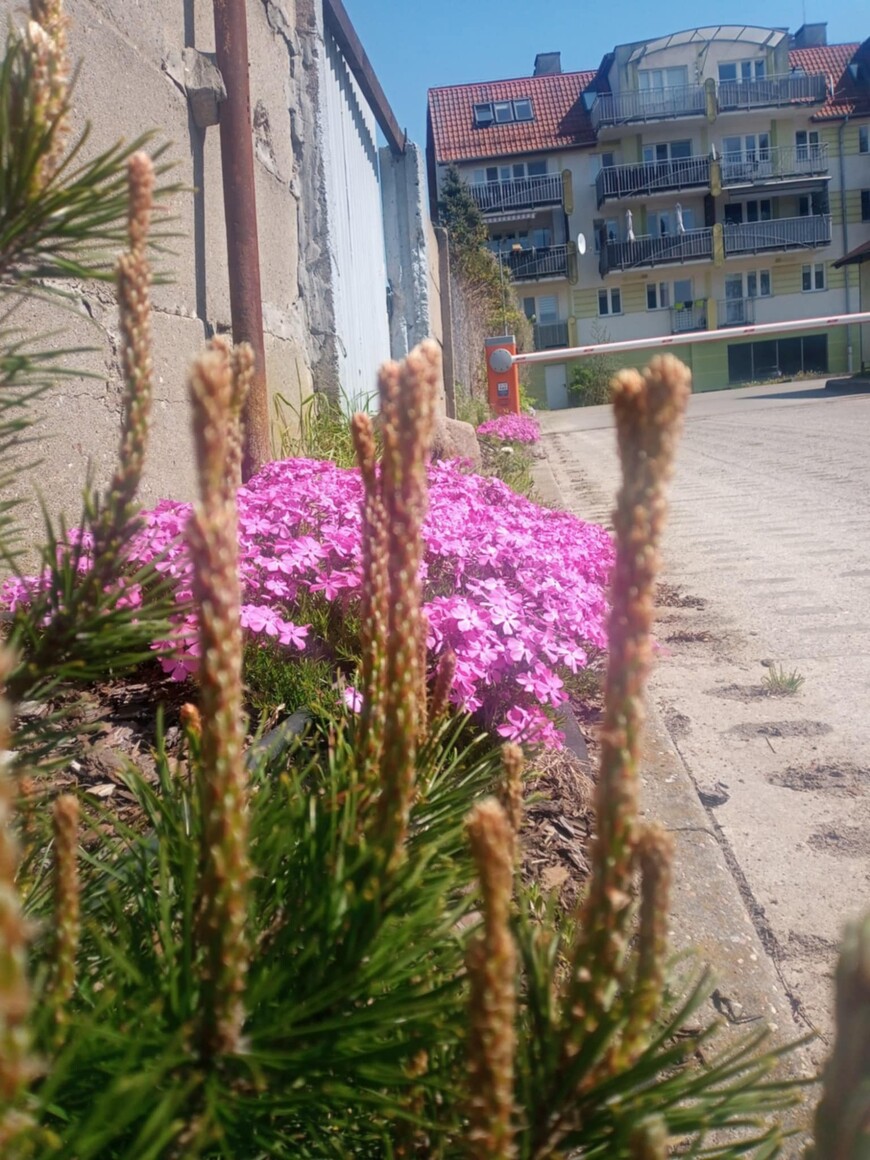 Kierunek Browarna