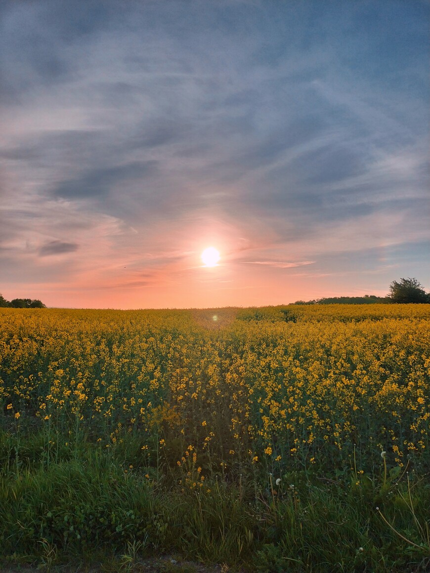 Spokój