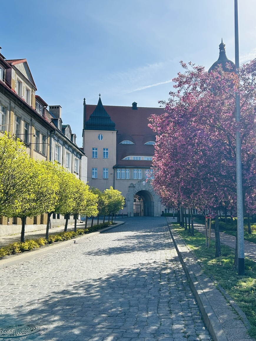 Słoneczny maj