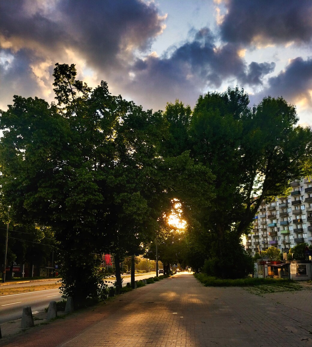 Ulica Grunwaldzka (Czerwiec 2025)
