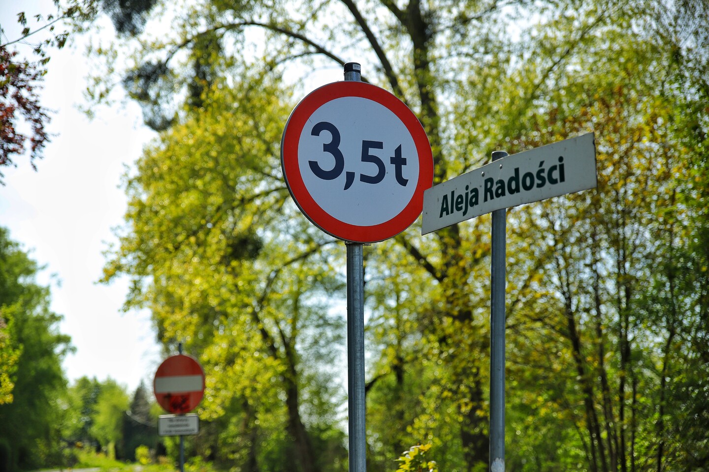 aleja radości