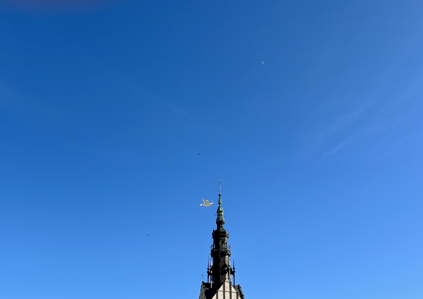oprócz błękitnego nieba