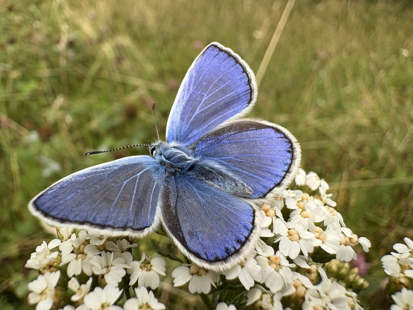 Duchowa Przemiana
