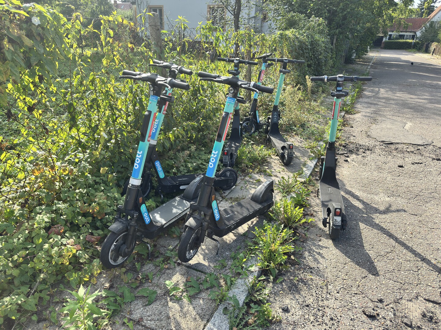 Idzie jesień, elbląskie hulajnogi zbierają się do odlotu.