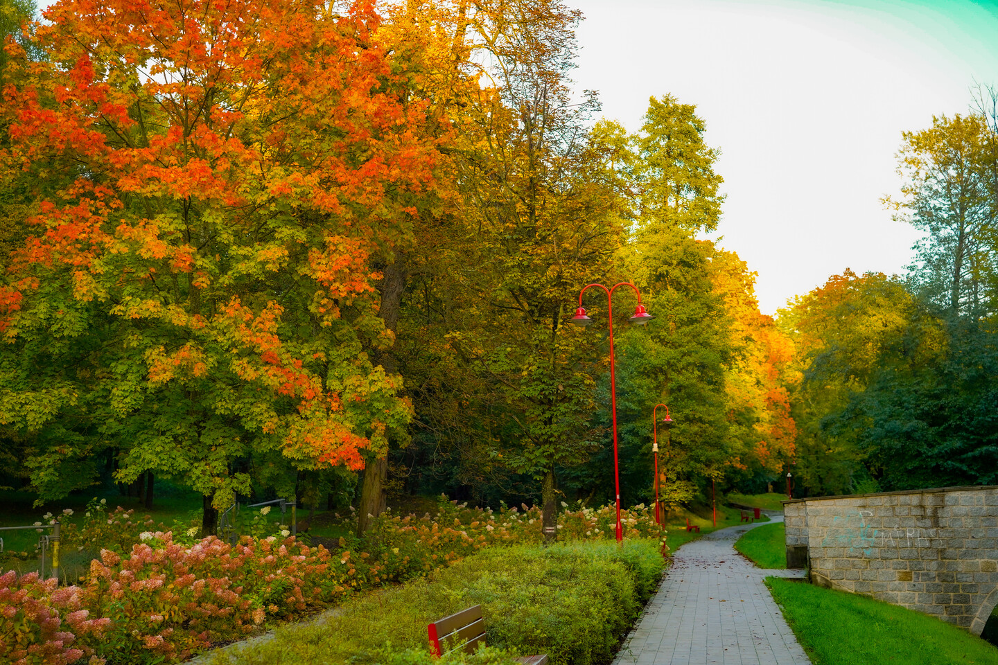 Elbląska jesień