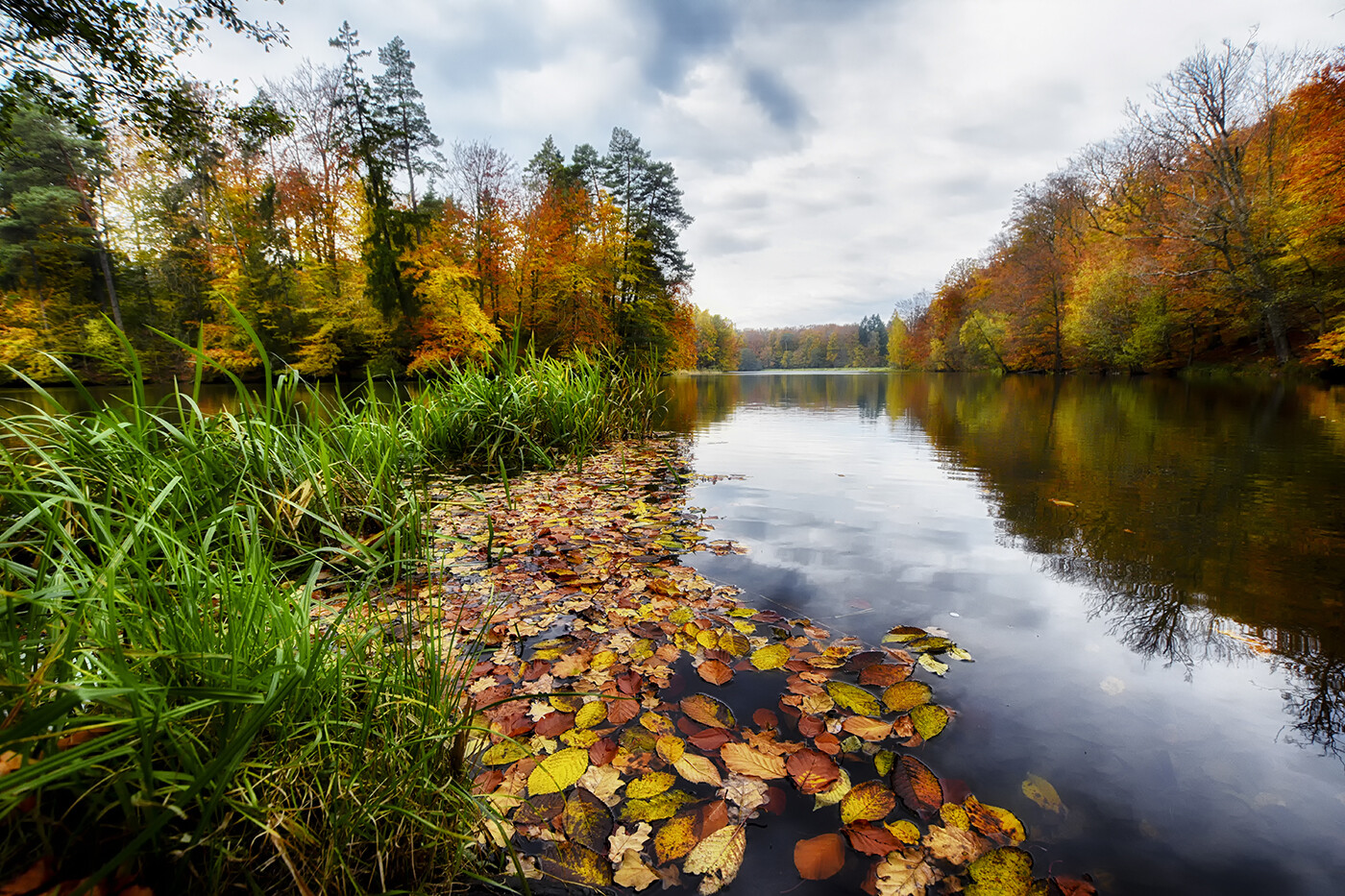 W jesiennych barwach