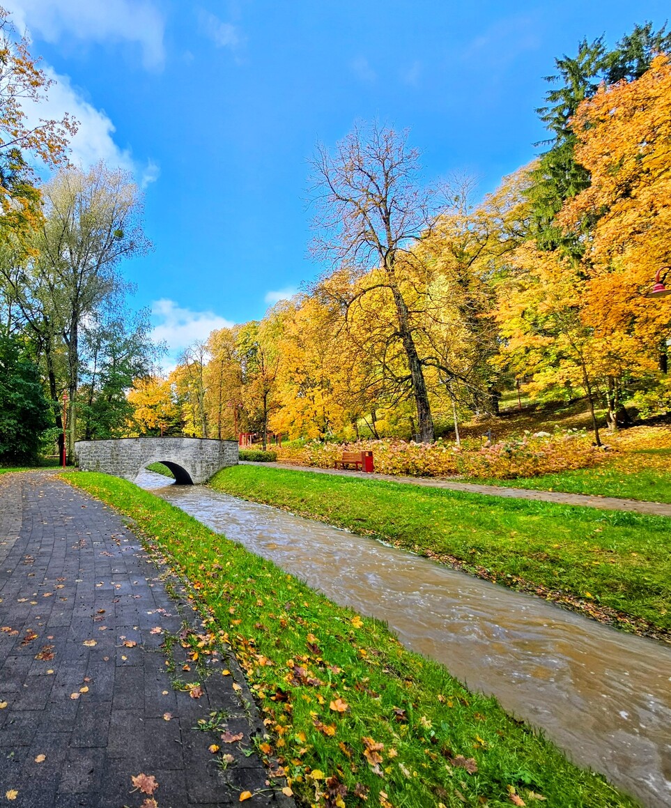 Dolinka (Październik 2025)