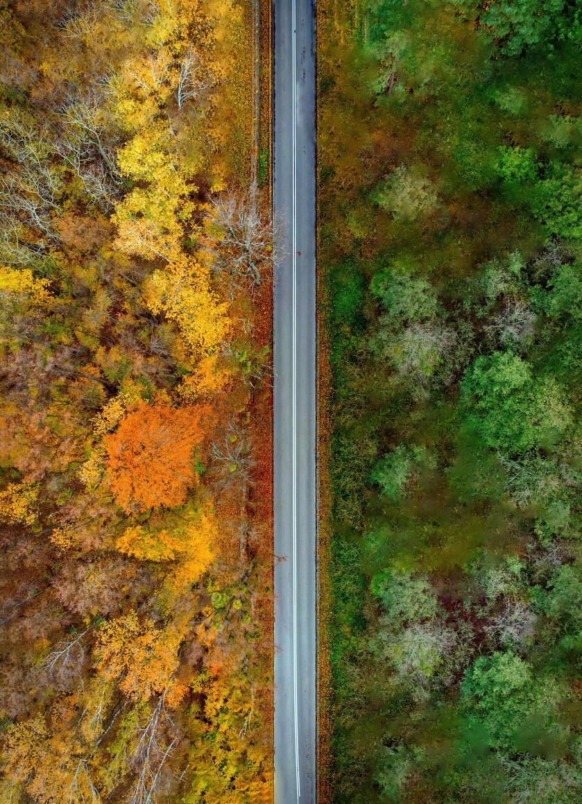 Pomiędzy latem a jesienią.