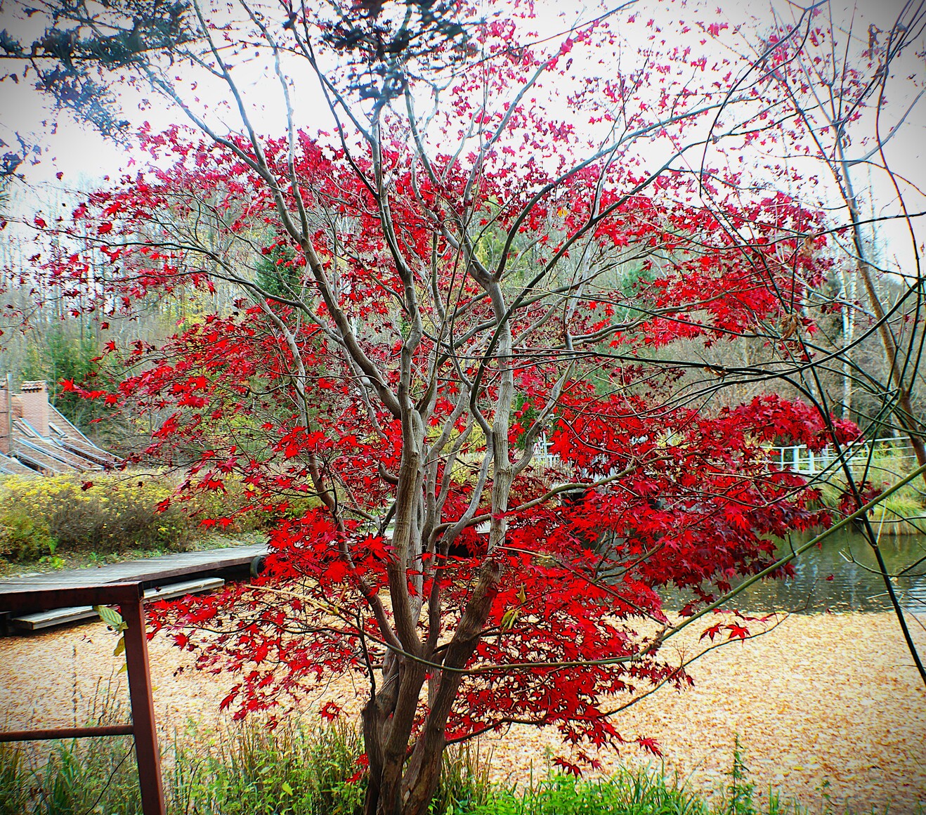 Jesienna paleta barw.