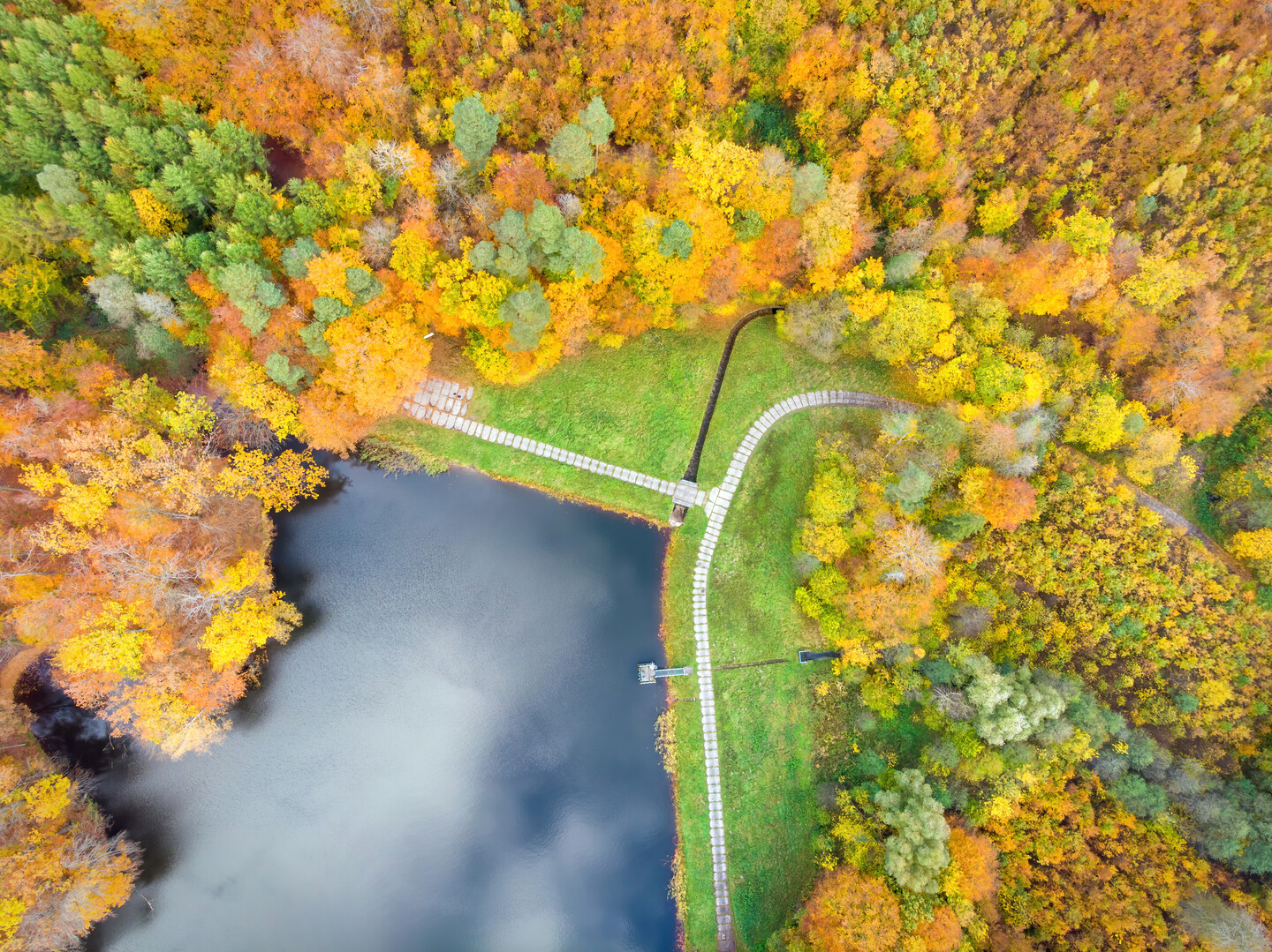 Paleta barw (Listopad 2025)