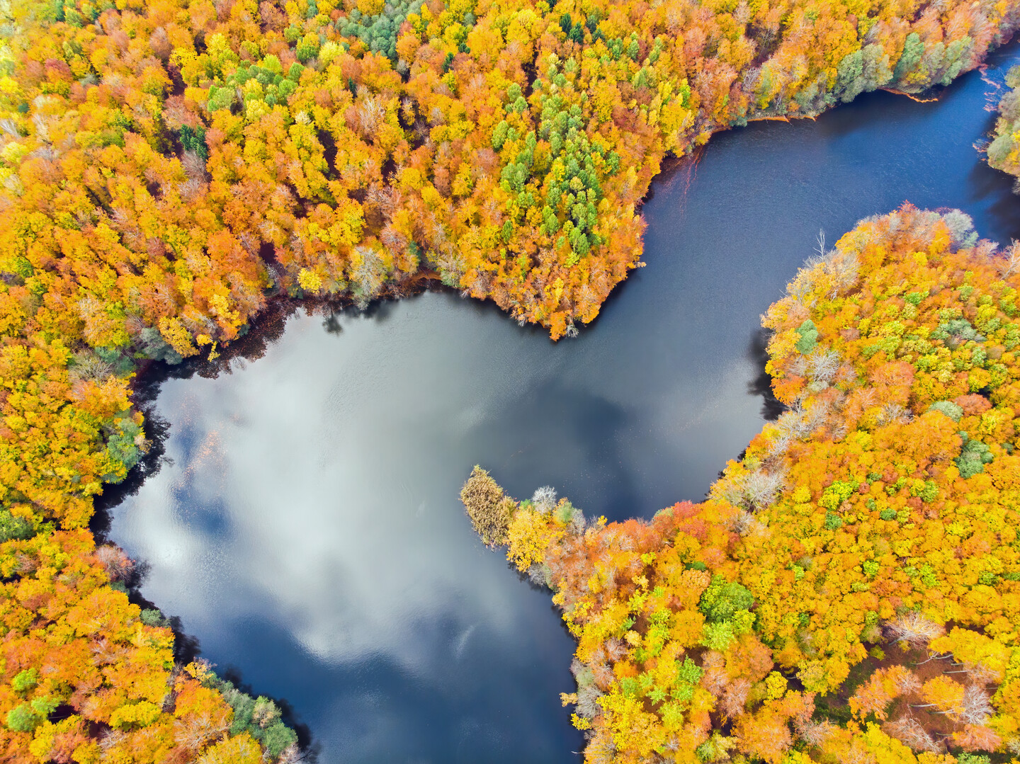 Odbicie lustrzane (Listopad 2025)