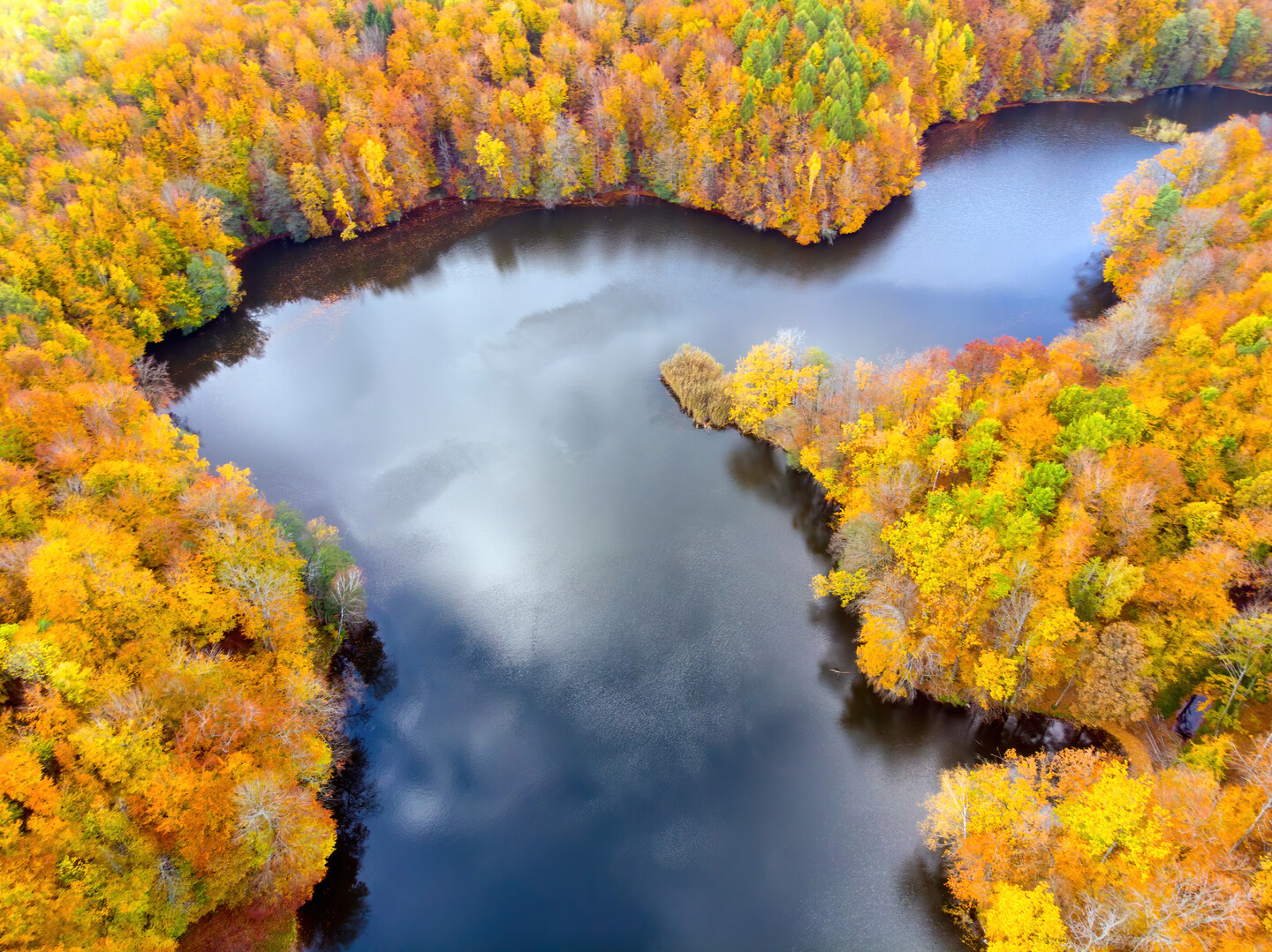 Jesień (Listopad 2025)