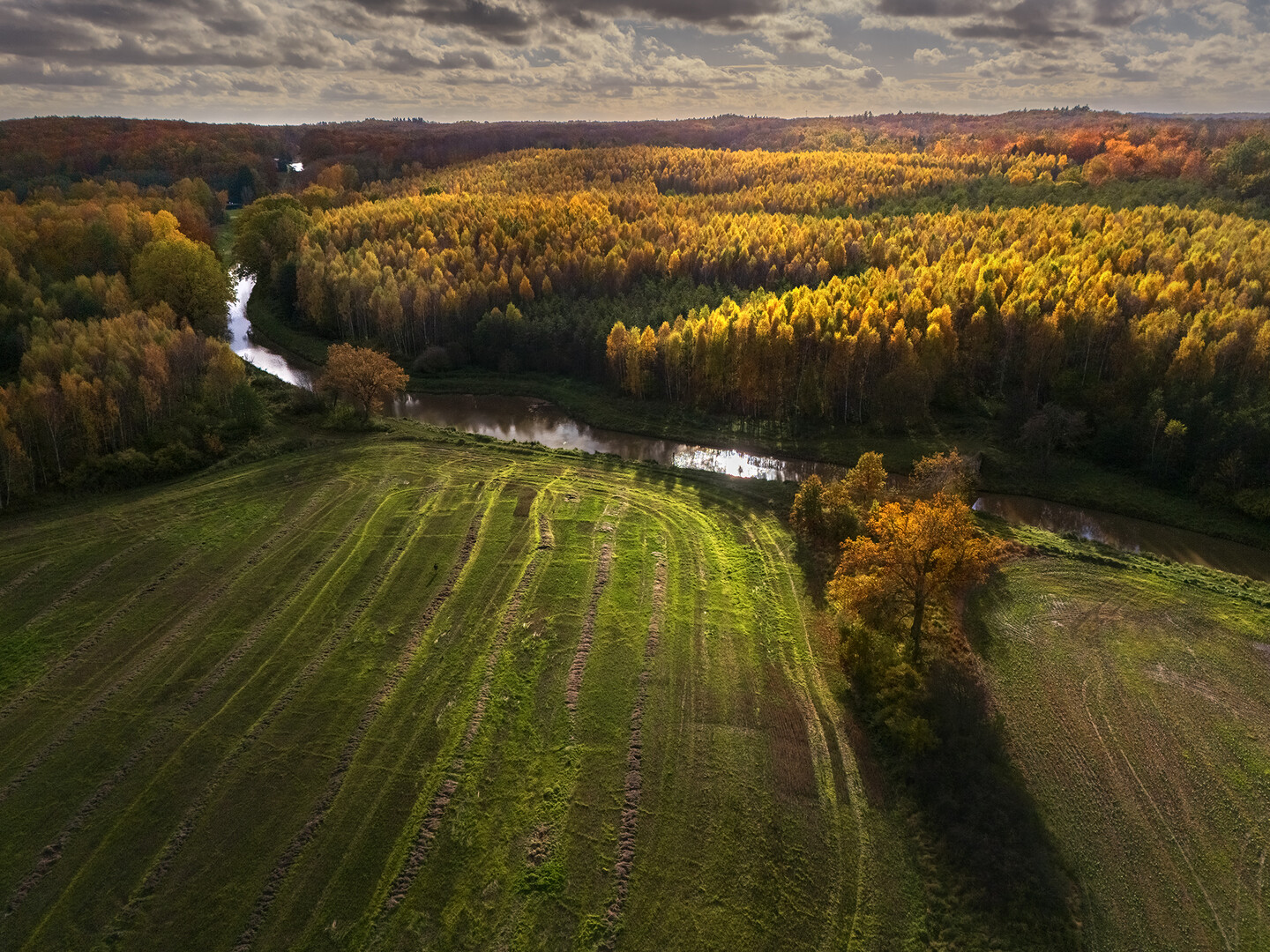 Jesienny kanał w okolicach Buczyńca (Listopad 2025)