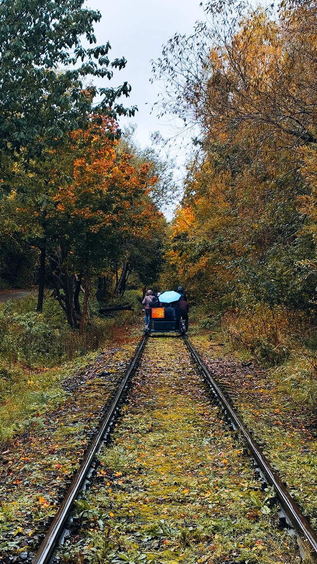 W drodze po złota jesień (Listopad 2025)