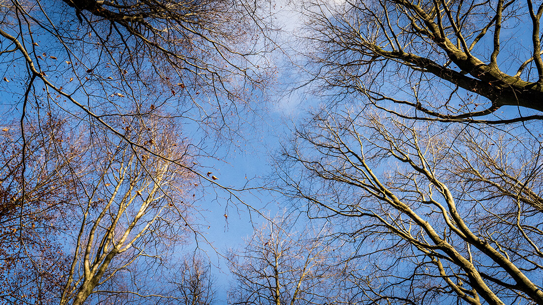 Listopad (Listopad 2025)